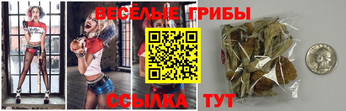 Малоярославец  Псилоцибиновые грибы Psilocybine cubensis  магазин    Вход с VPN  Галлюциногенные грибы Magic Shrooms 